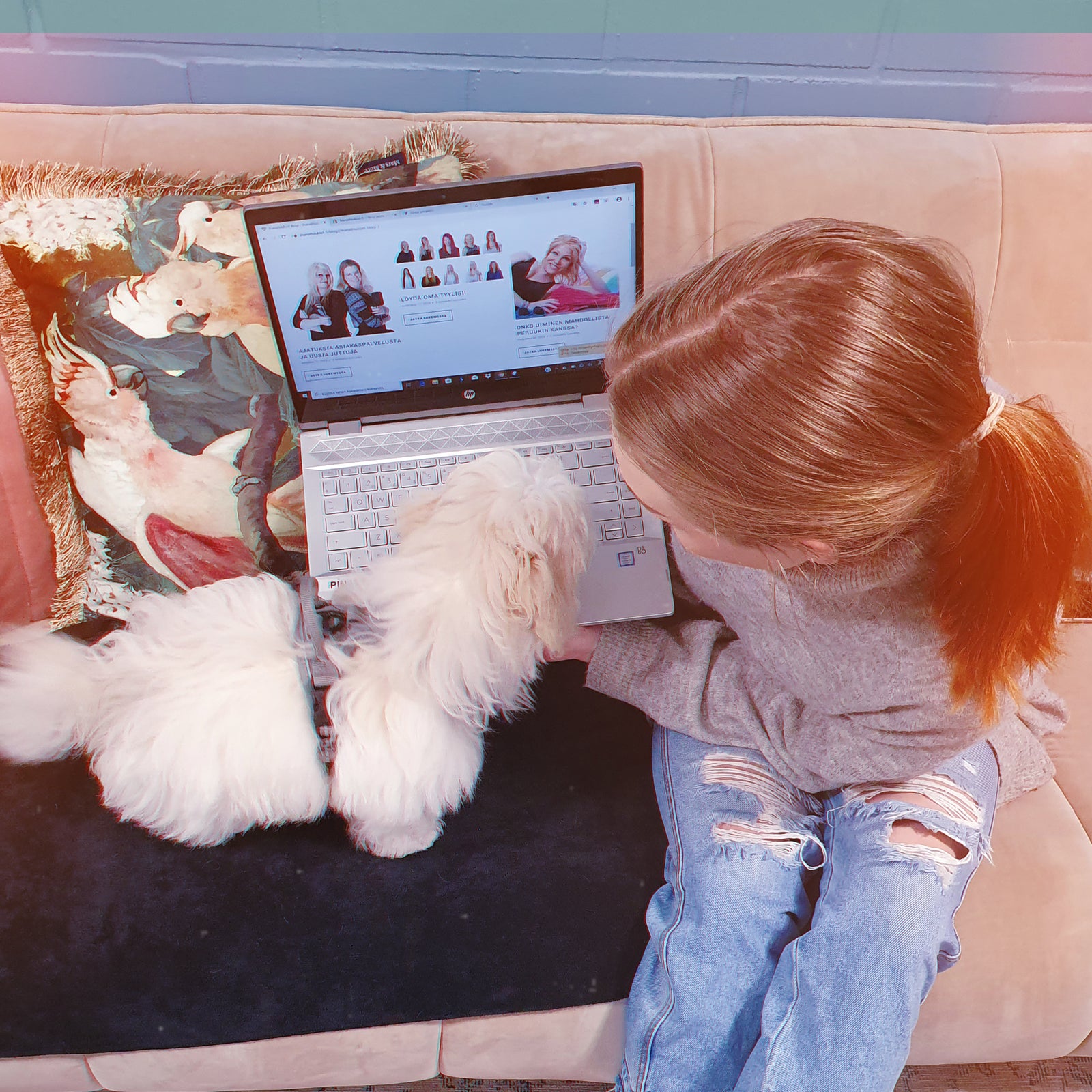 Markkinointia ja harjoittelua